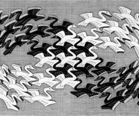 "Cisnes", de Escher